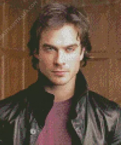 Damon Salvatore Diamond Painting