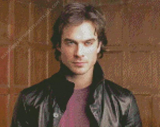 Damon Salvatore Diamond Painting