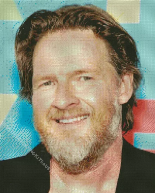 Donal Logue Diamond Painting