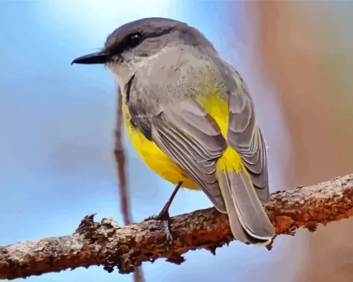 Grey And Yellow Bird Diamond Painting