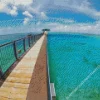 Guam Fish Eye Park Diamond Painting