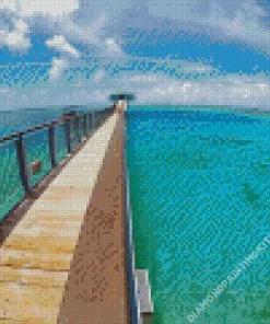 Guam Fish Eye Park Diamond Painting