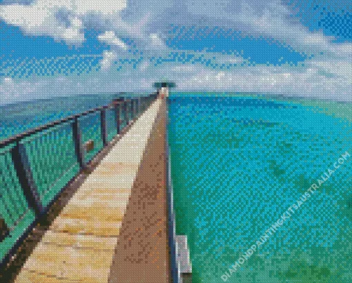 Guam Fish Eye Park Diamond Painting