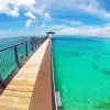 Guam Fish Eye Park Diamond Painting