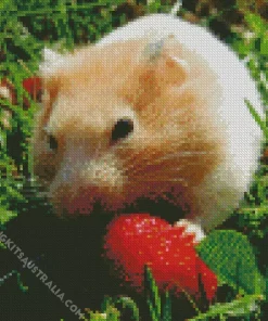 Hamster Eating Diamond Painting