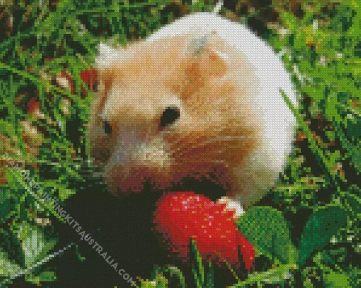 Hamster Eating Diamond Painting