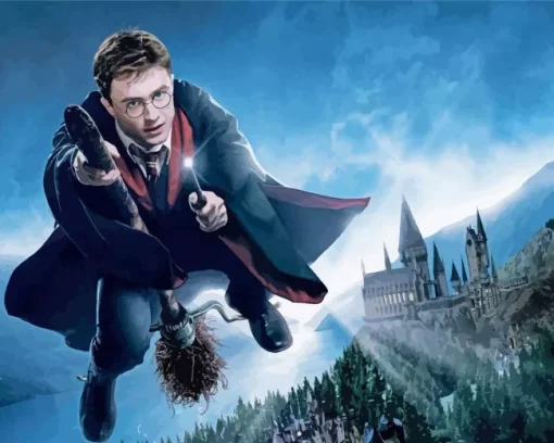 Harry On A Broom Diamond Painting