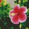 Hawaiian Flower Diamond Painting