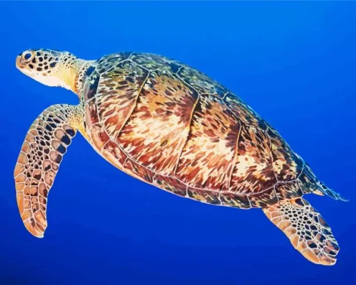 Hawksbill Sea Turtle Diamond Painting