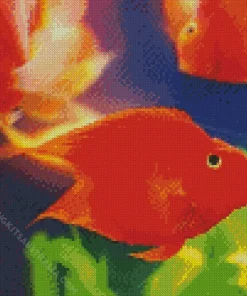 Heart Parrot Fish Diamond Painting