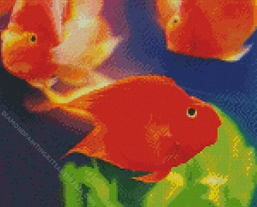 Heart Parrot Fish Diamond Painting