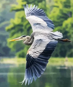 Heron Bird Flying Diamond Painting