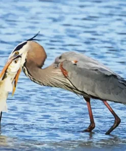 Heron Eating Fish Diamond Painting