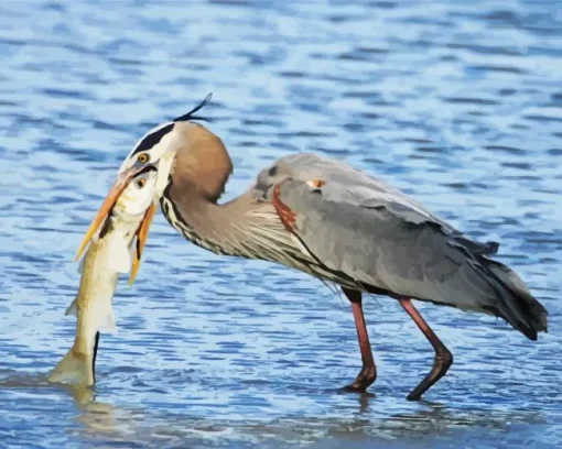 Heron Eating Fish Diamond Painting