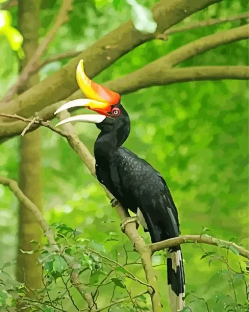 Hornbill Bird Diamond Painting