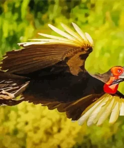 Hornbill Bird Flying Diamond Painting