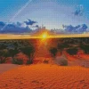 Kalahari Desert Diamond Painting