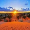 Kalahari Desert Diamond Painting