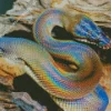 Rainbow Snake Diamond Painting