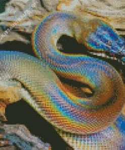 Rainbow Snake Diamond Painting