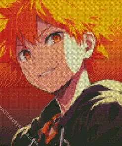 Shoyo Hinata Diamond Painting