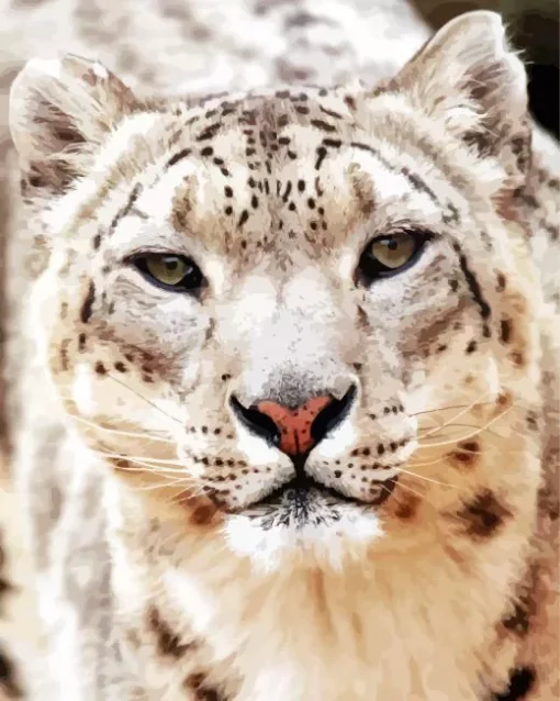 Snow Leopard Diamond Painting