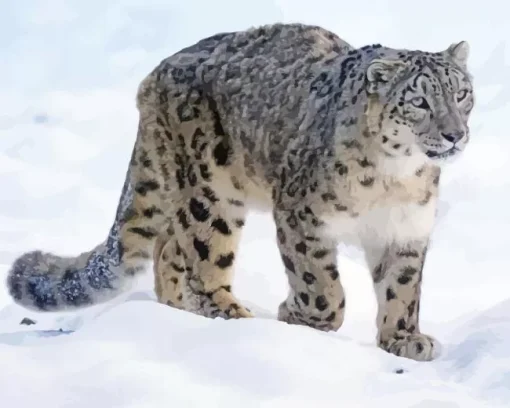 Snow Leopard Diamond Painting