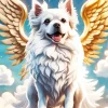 White Dog Angel Art Diamond Painting