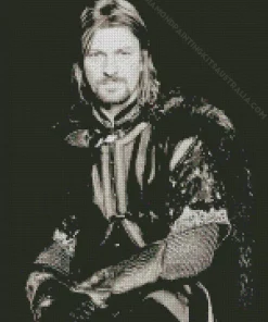 Black And White Boromir Diamond Painting