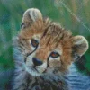 Cheetah Cub Diamond Painting