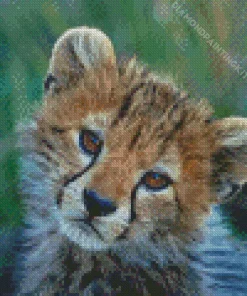 Cheetah Cub Diamond Painting