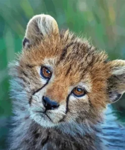 Cheetah Cub Diamond Painting