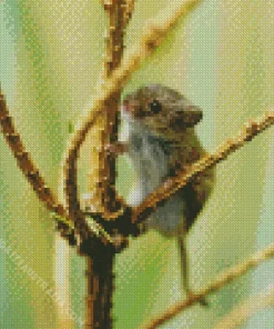 Eurasian Harvest Mouse Diamond Painting