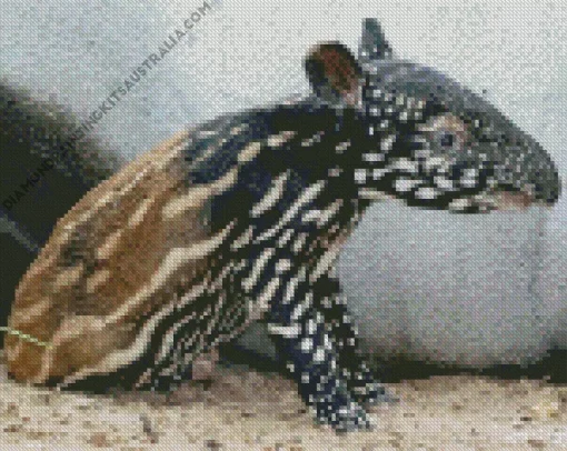 Baby Tapir Diamond Painting