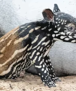 Baby Tapir Diamond Painting