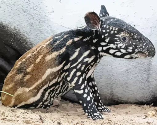 Baby Tapir Diamond Painting