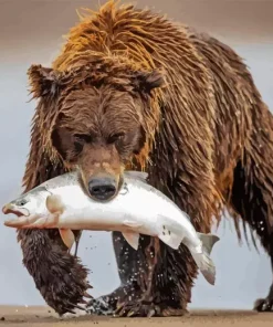 Bear Eating A Fish Diamond Painting