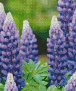 Blue Lupine Flowers Diamond Painting