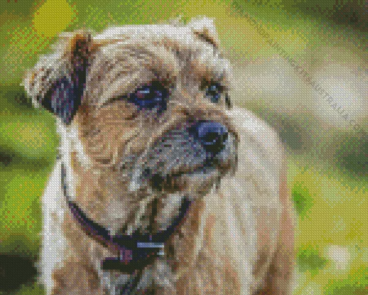 border terrier dog Diamond By Numbers