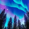Borealis Trees Diamond Painting