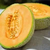 Cantaloupe Melon Diamond Painting