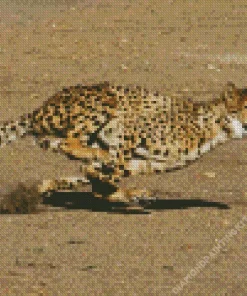Cheetah Running Diamond Painting