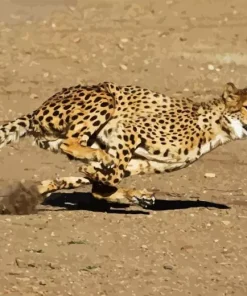 Cheetah Running Diamond Painting