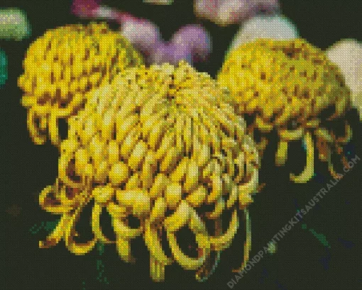 Chrysanthemum Flower Diamond Painting