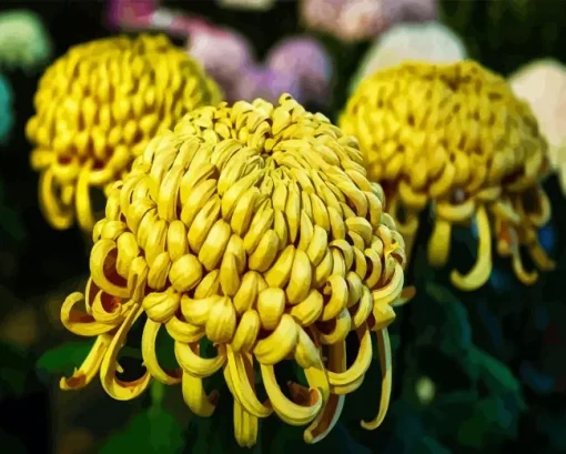 Chrysanthemum Flower Diamond Painting