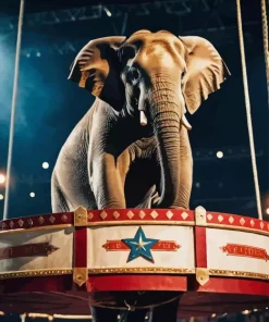 Circus Elephant Diamond Painting