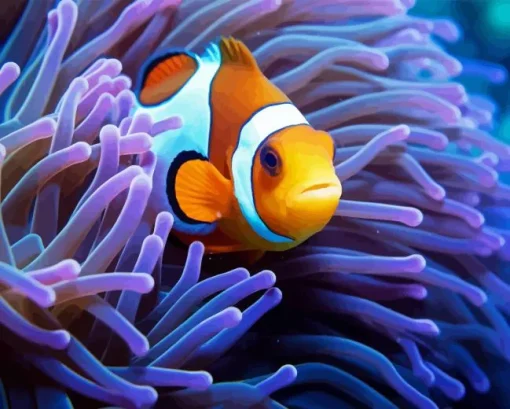 Clownfish Underwater Diamond Painting