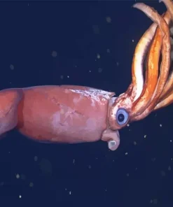 Colossal Squid Diamond Painting