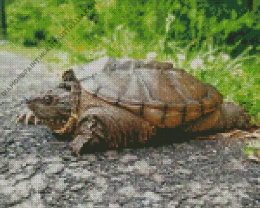 Common Snapping Turtle Diamond Painting