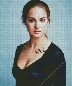Cool Beatrice Prior Diamond Painting